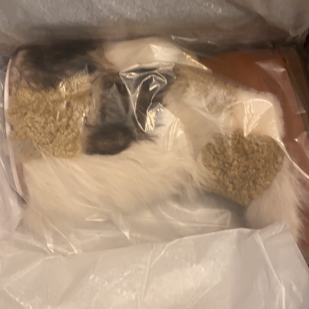 - New with box A brand-new, unused, and unworn !!! - Picture 2 of 5
